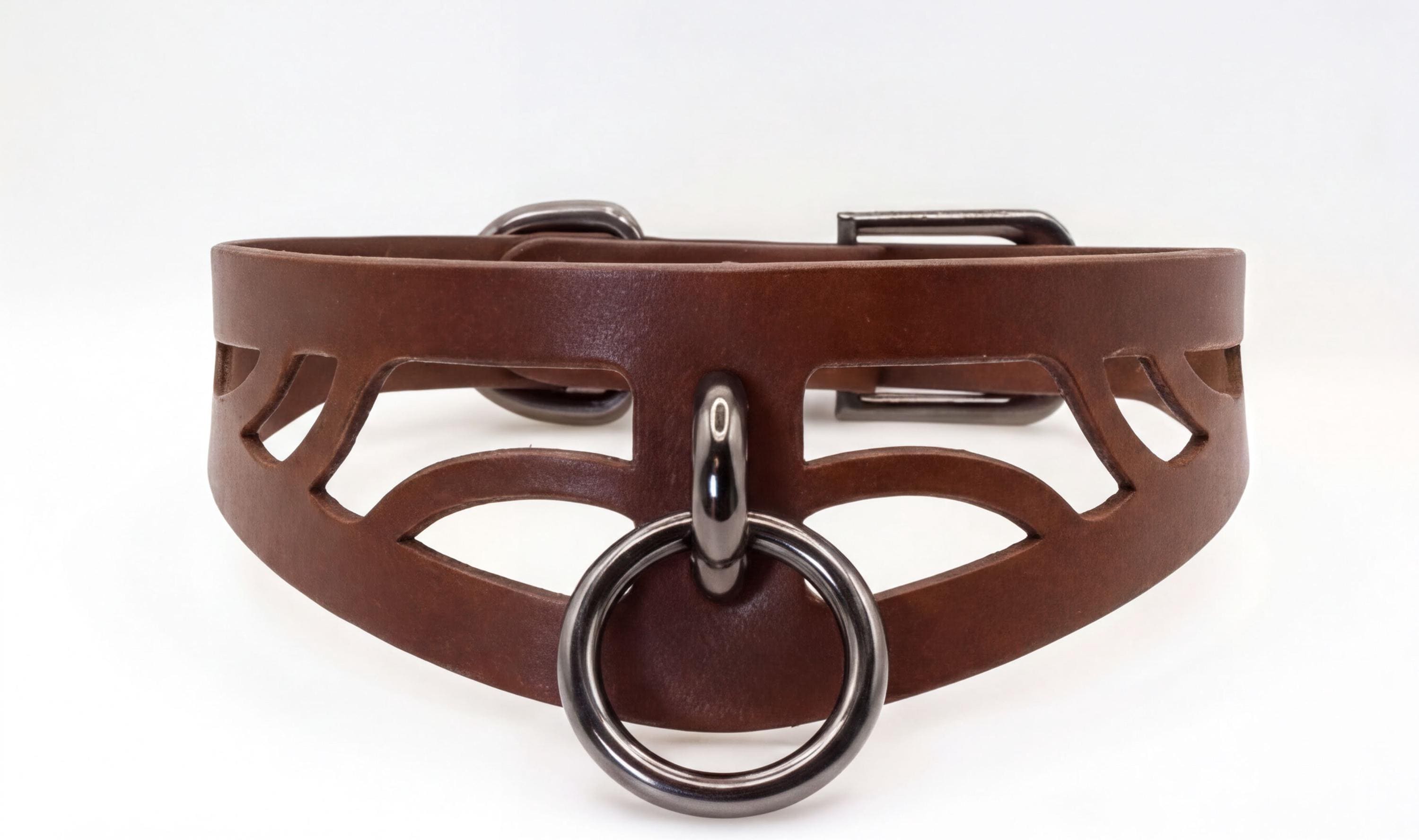 A brown leather choker necklace with a metal ring and a metal buckle.