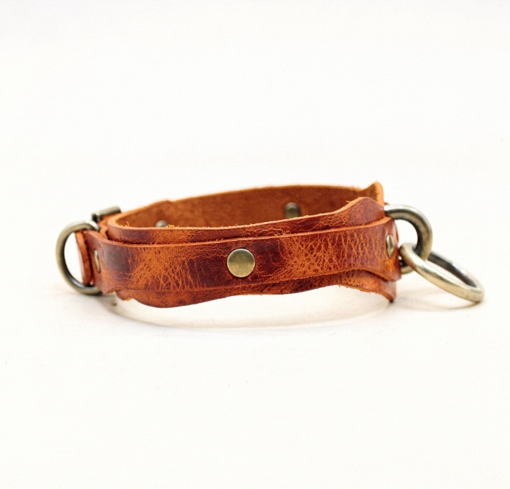 A brown leather collar with metal rings and a buckle, displayed against a white background.