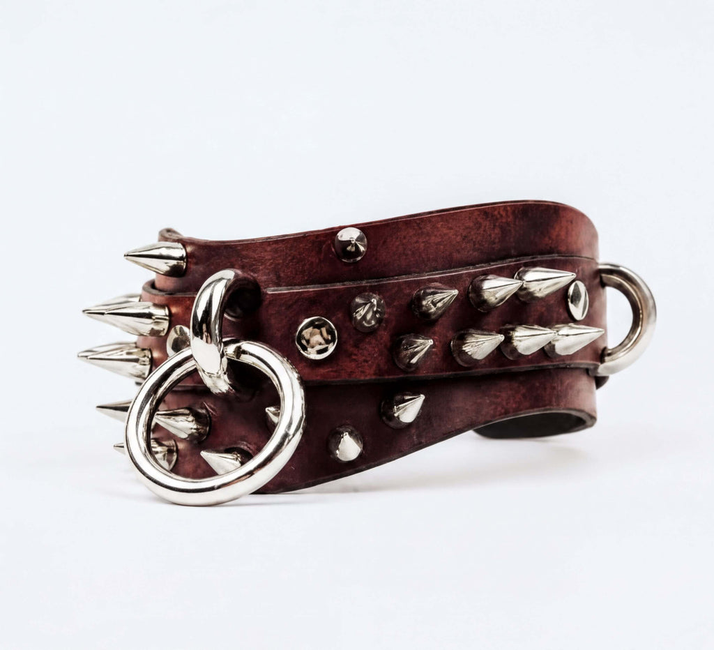 A brown leather strap with silver spikes protruding from it, and a metal ring attached to the strap.
