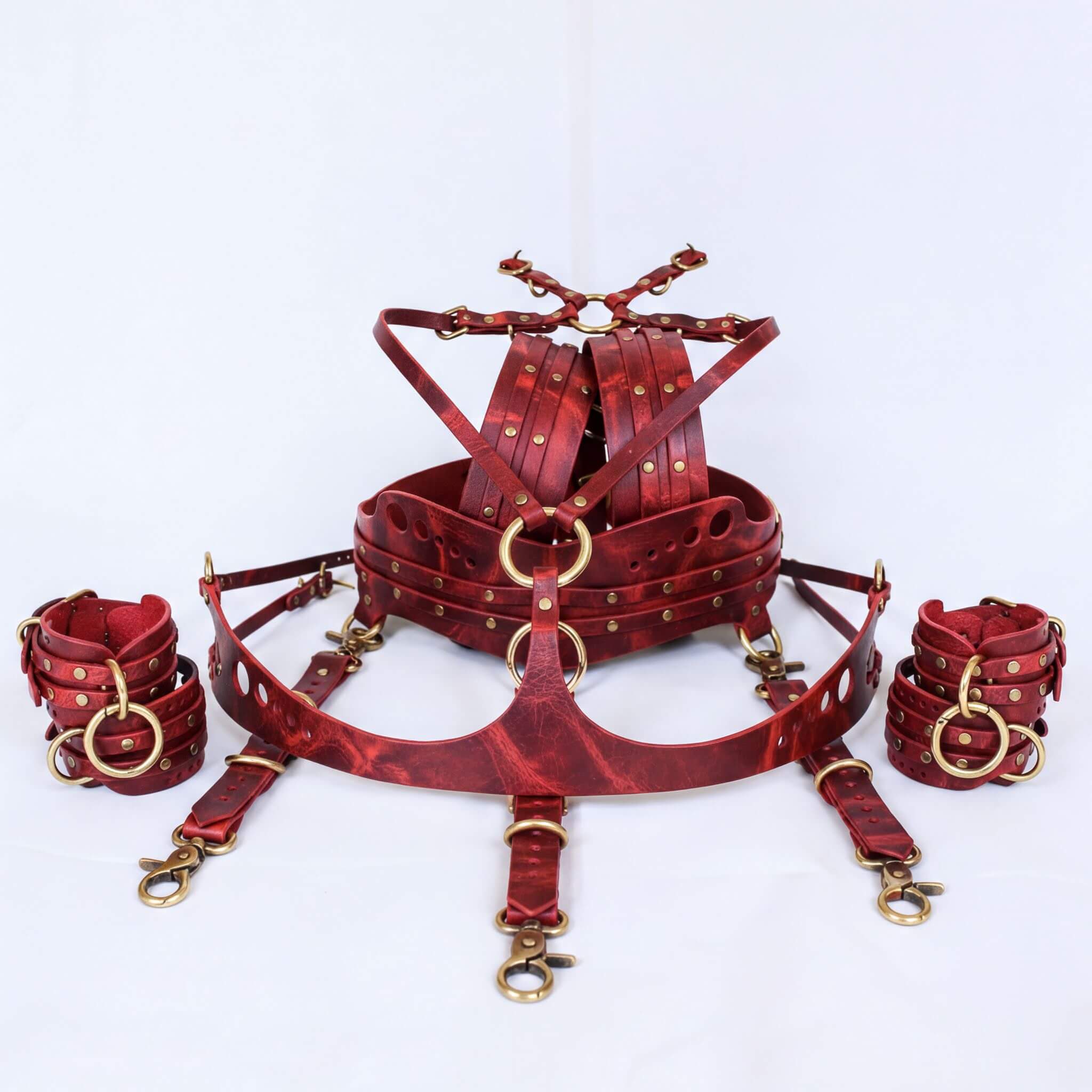 a collection of red leather straps and accessories, including a harness, gloves, and other items, arranged on a white background.