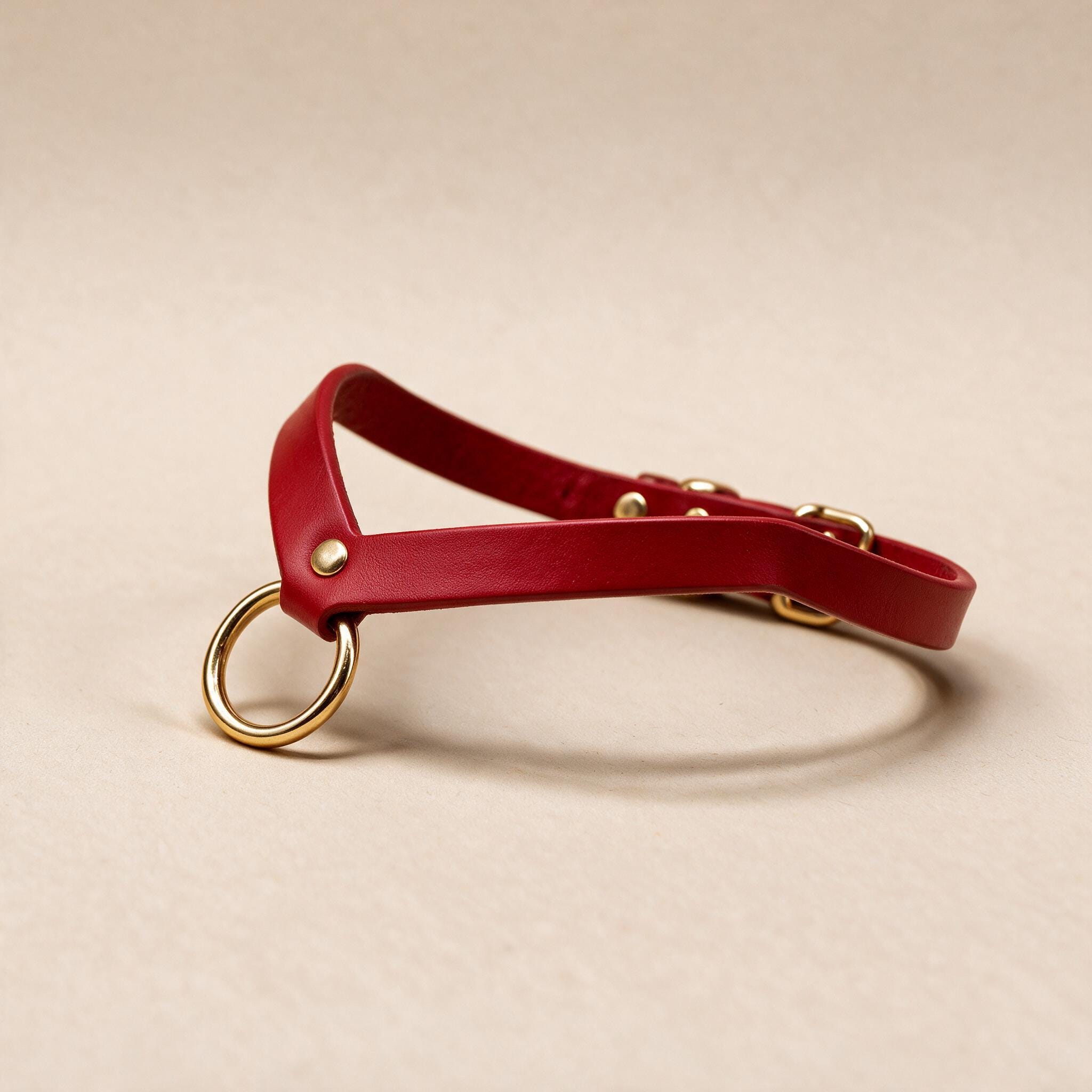 A red leather collar with a gold ring and buckle is shown against a beige background.