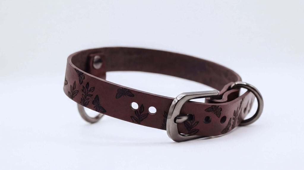 A brown leather dog collar with a metal buckle and two holes on the front.