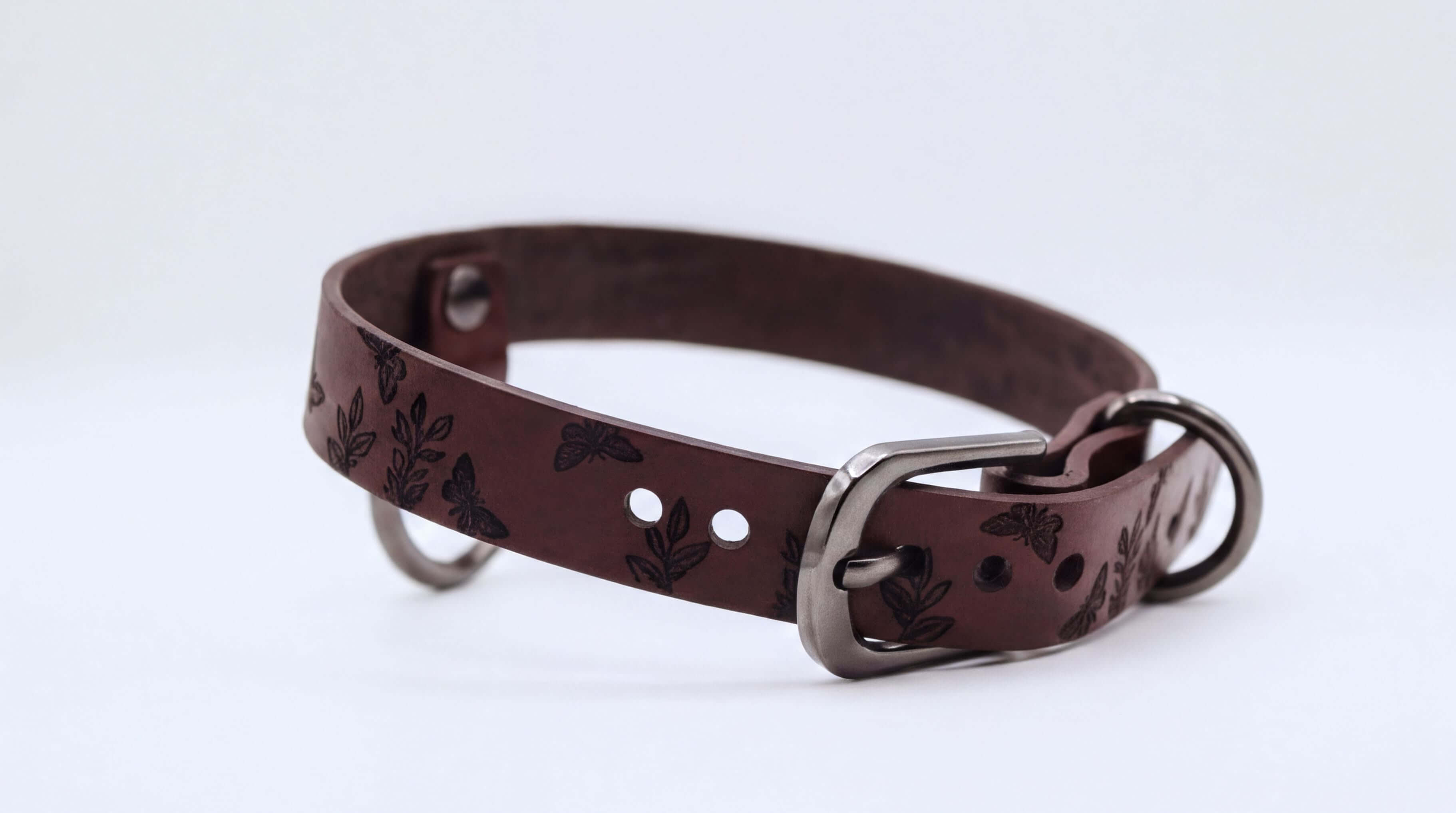 A brown leather dog collar with a metal buckle and two holes on the front.
