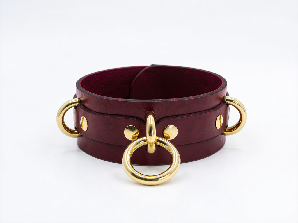 A burgundy leather choker necklace with gold-colored metal rings and a buckle.