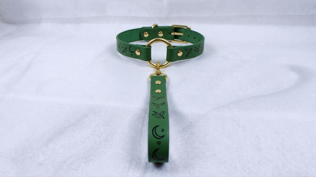 A green leather collar with a gold buckle and a black and white design on the strap.