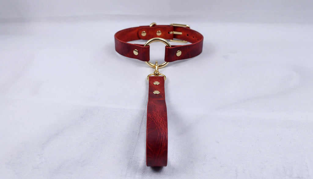 A red leather collar with a gold-colored buckle and a matching red leather leash attached to it.