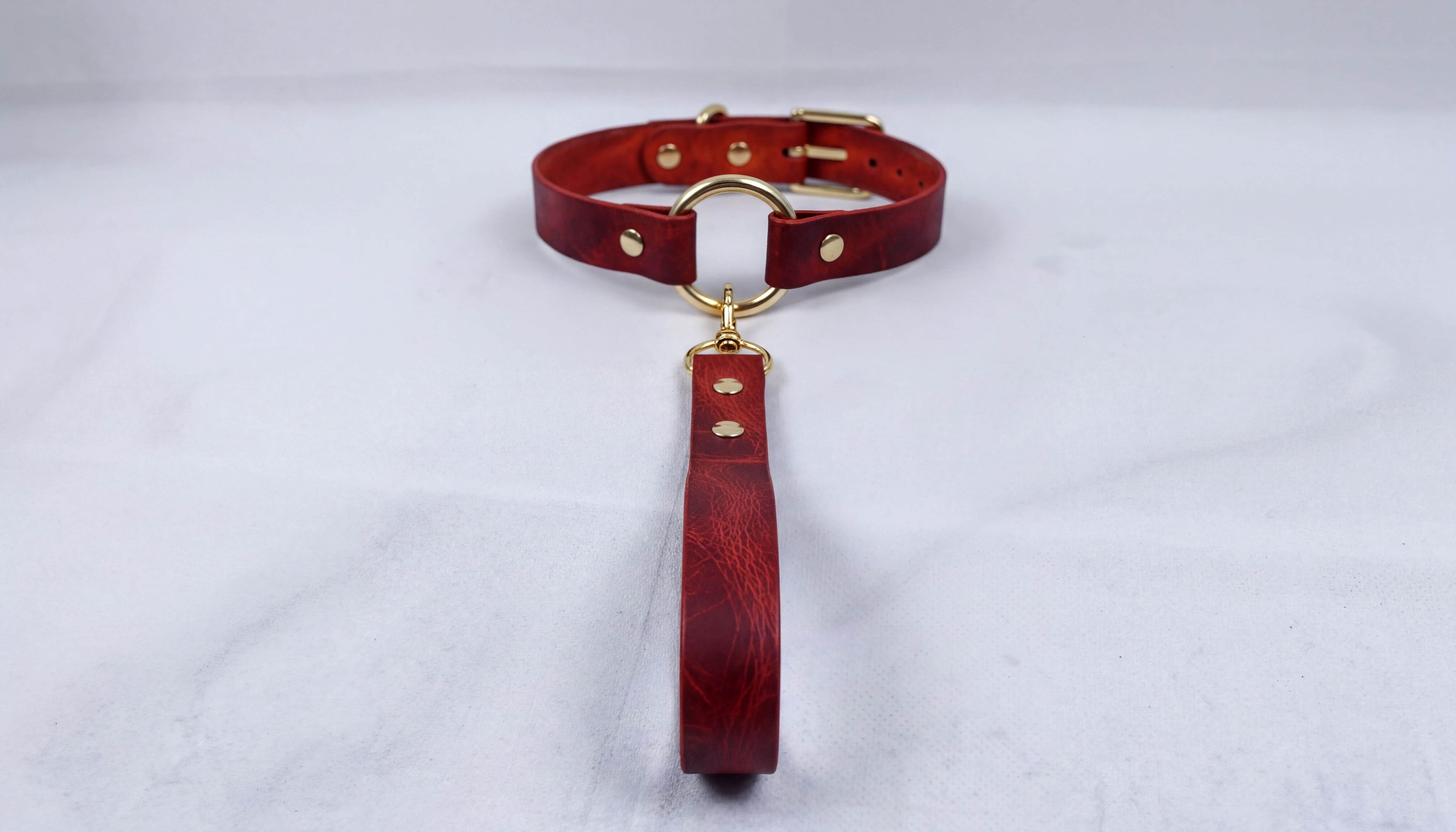 A red leather collar with a gold-colored buckle and a matching red leather leash attached to it.