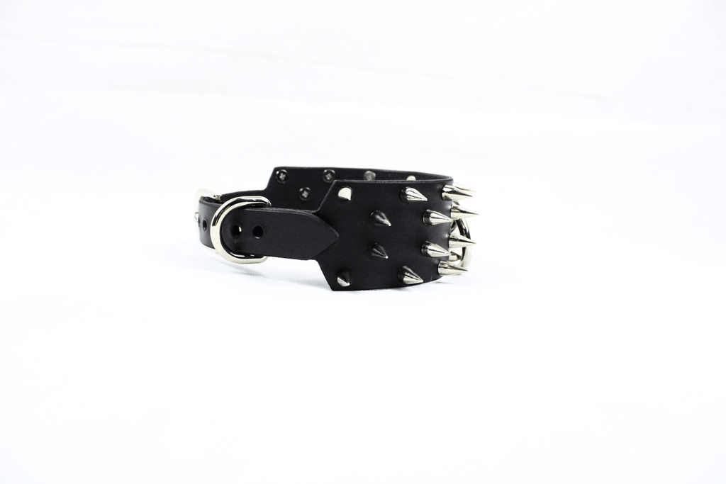 Rogue BDSM Collar – Spiked Posture Choker for Submissive & Dom Play in black leather with steel spikes.
