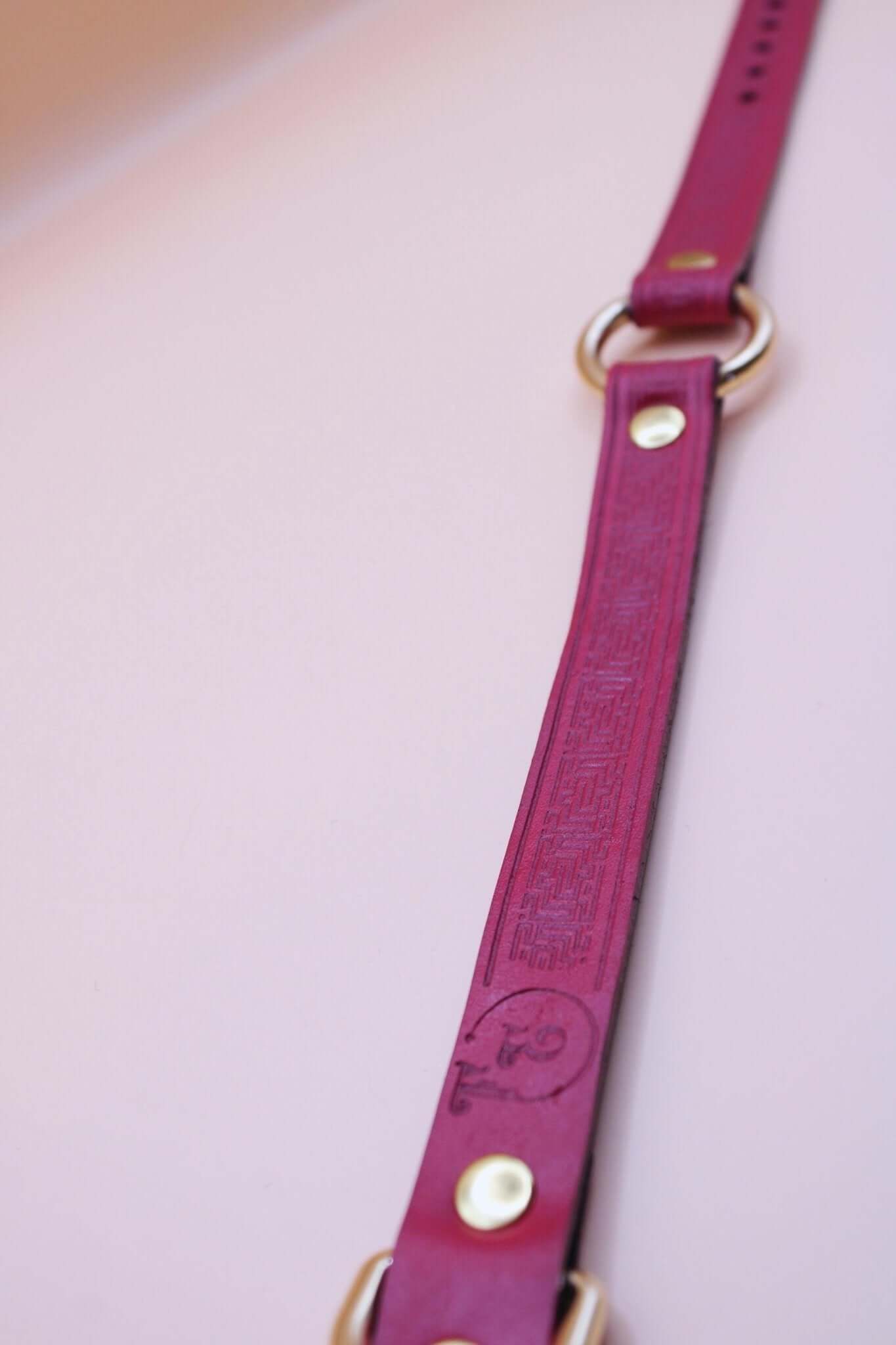 Deep red leather submissive collar with embossed pattern and golden O-rings, perfect for bondage and DDLG enthusiasts.