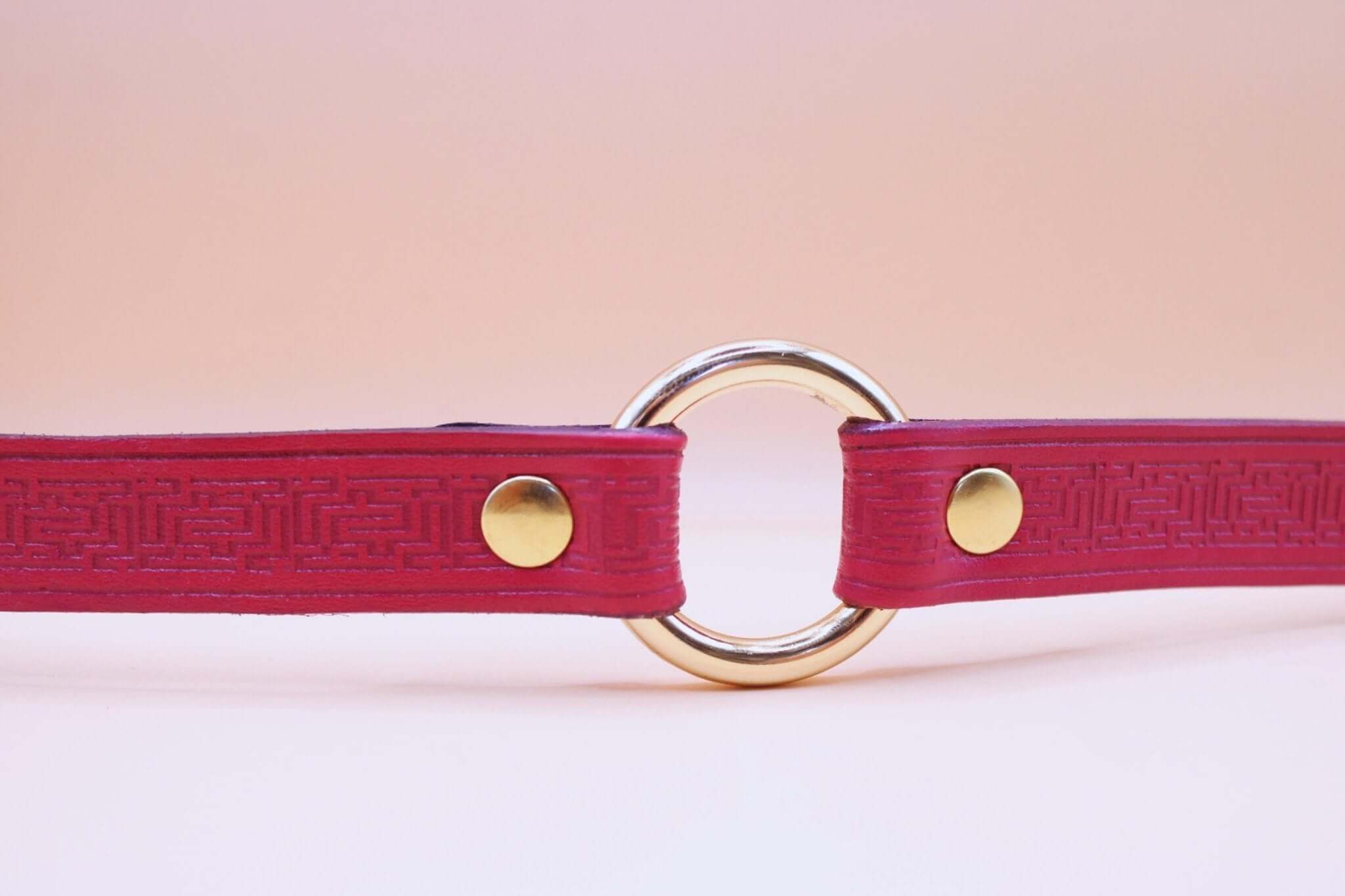 Deep red leather sub collar with gold O-ring, perfect for BDSM and submissive jewelry, ideal for bondage enthusiasts.