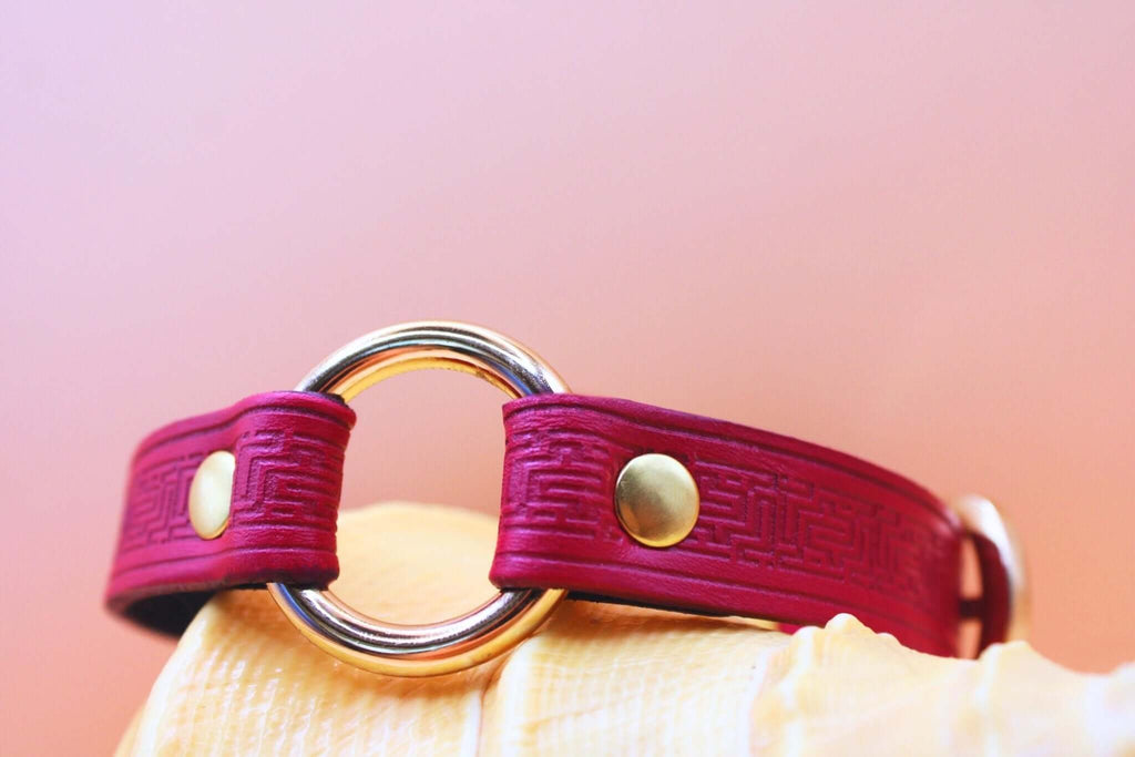 Deep red leather sub collar with golden O-ring, perfect for BDSM, submissive jewelry, and bondage accessories.