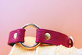 Deep red leather sub collar with golden O-ring, perfect for BDSM, submissive jewelry, and bondage accessories.