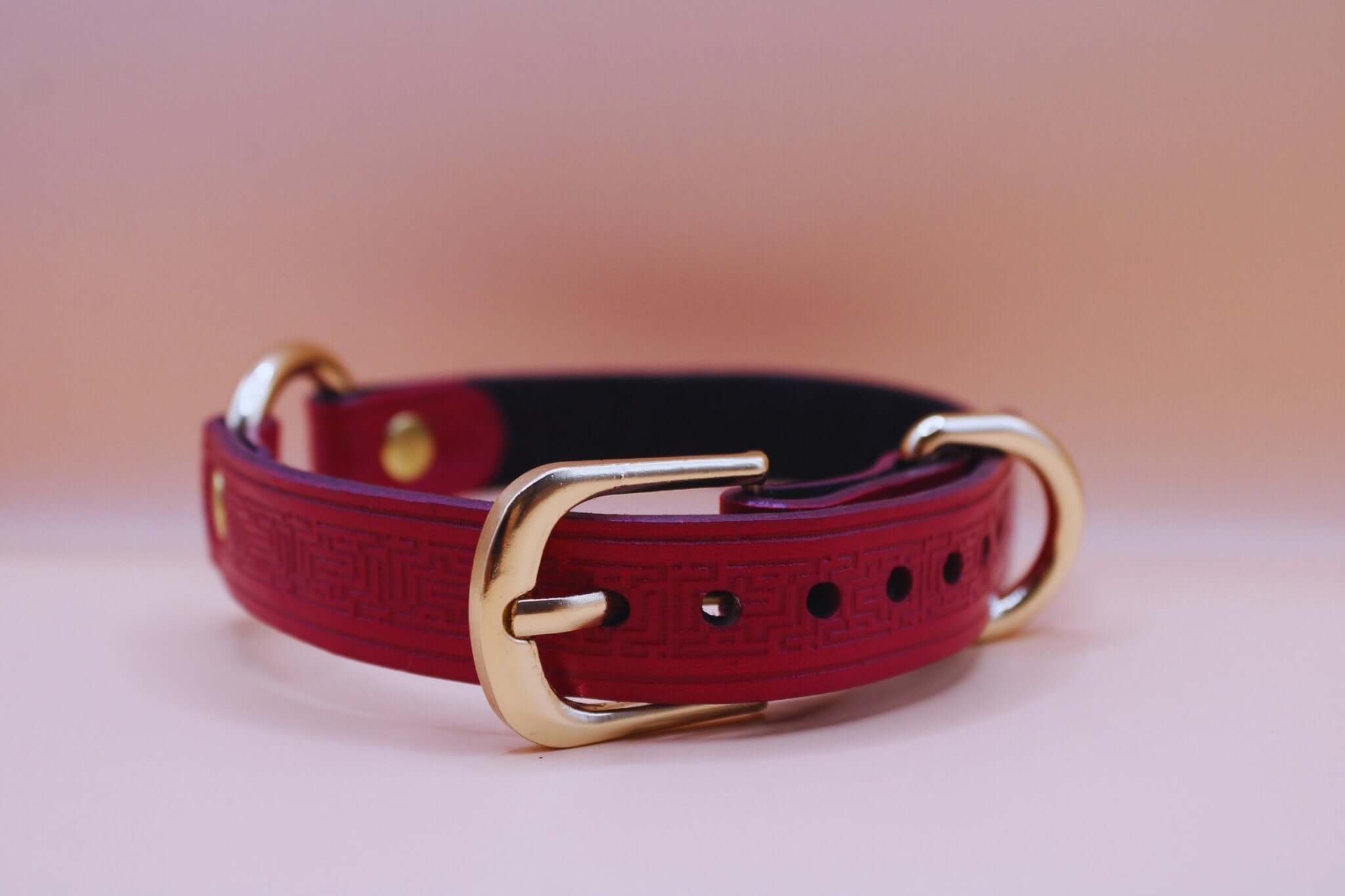 Deep red leather submissive collar with gold O-ring, perfect for BDSM and bondage accessories.
