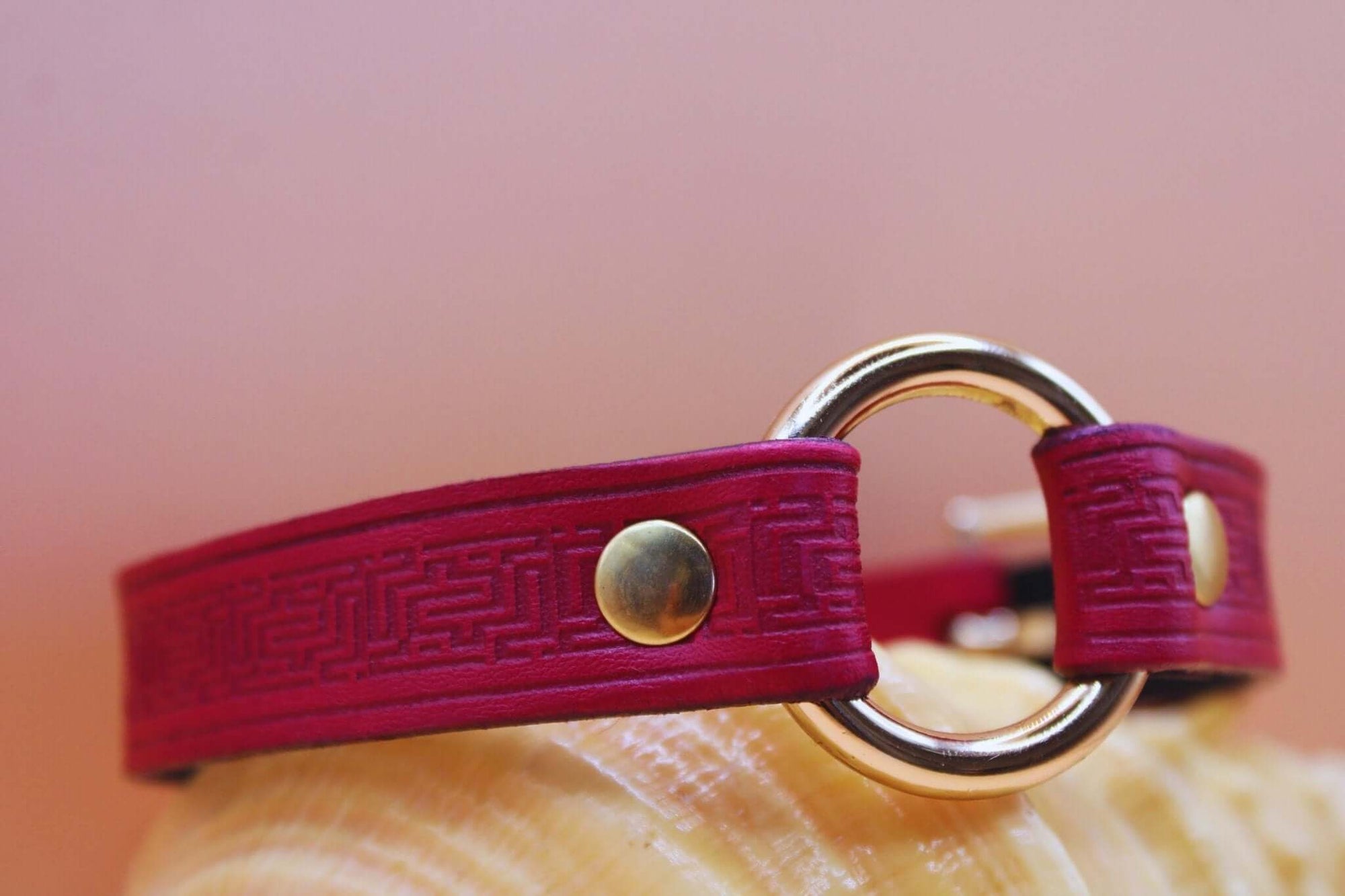 Deep red leather submissive collar with golden O-ring, perfect for BDSM day use and bondage jewelry.