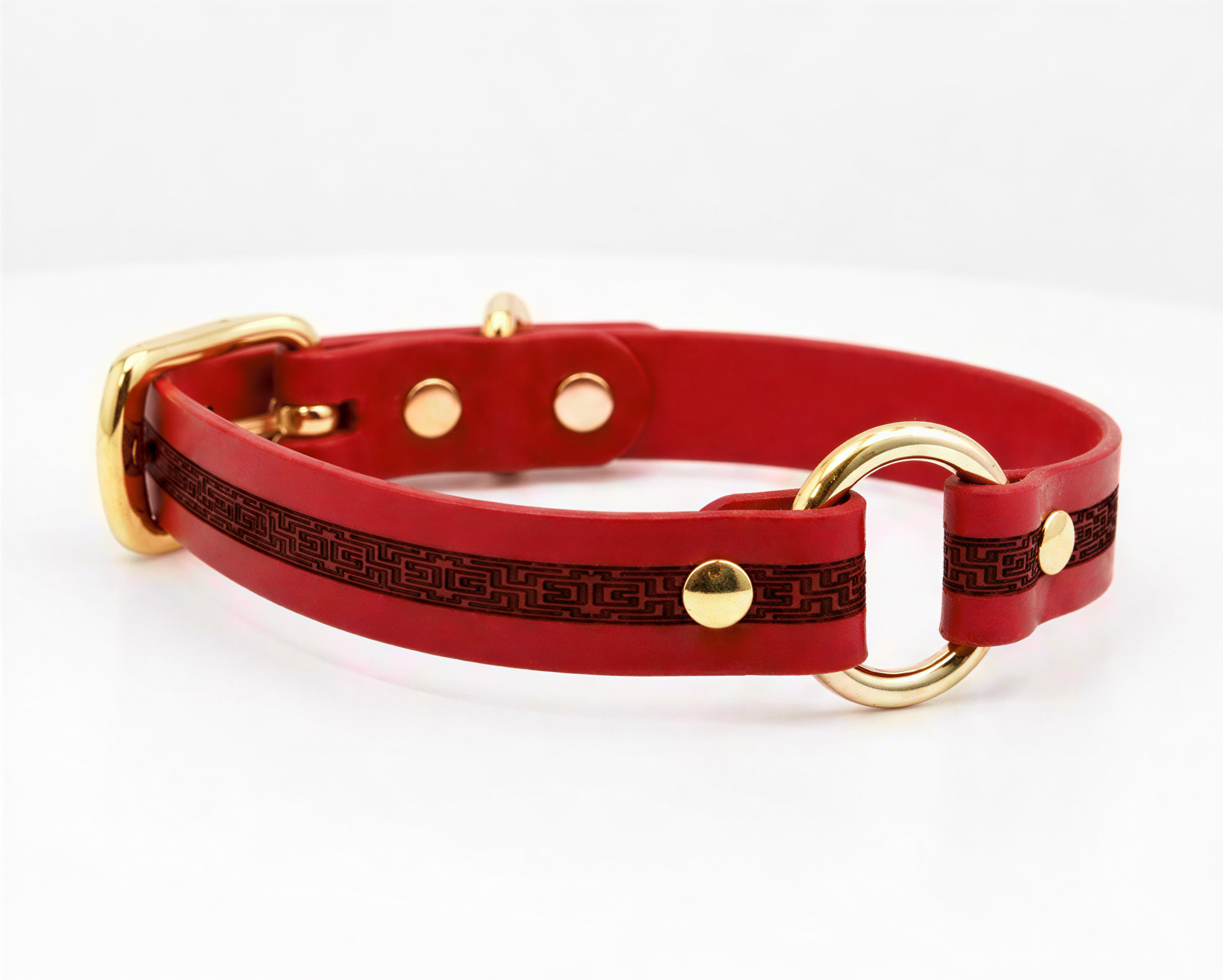 A red leather dog collar with a gold buckle and two gold rings.