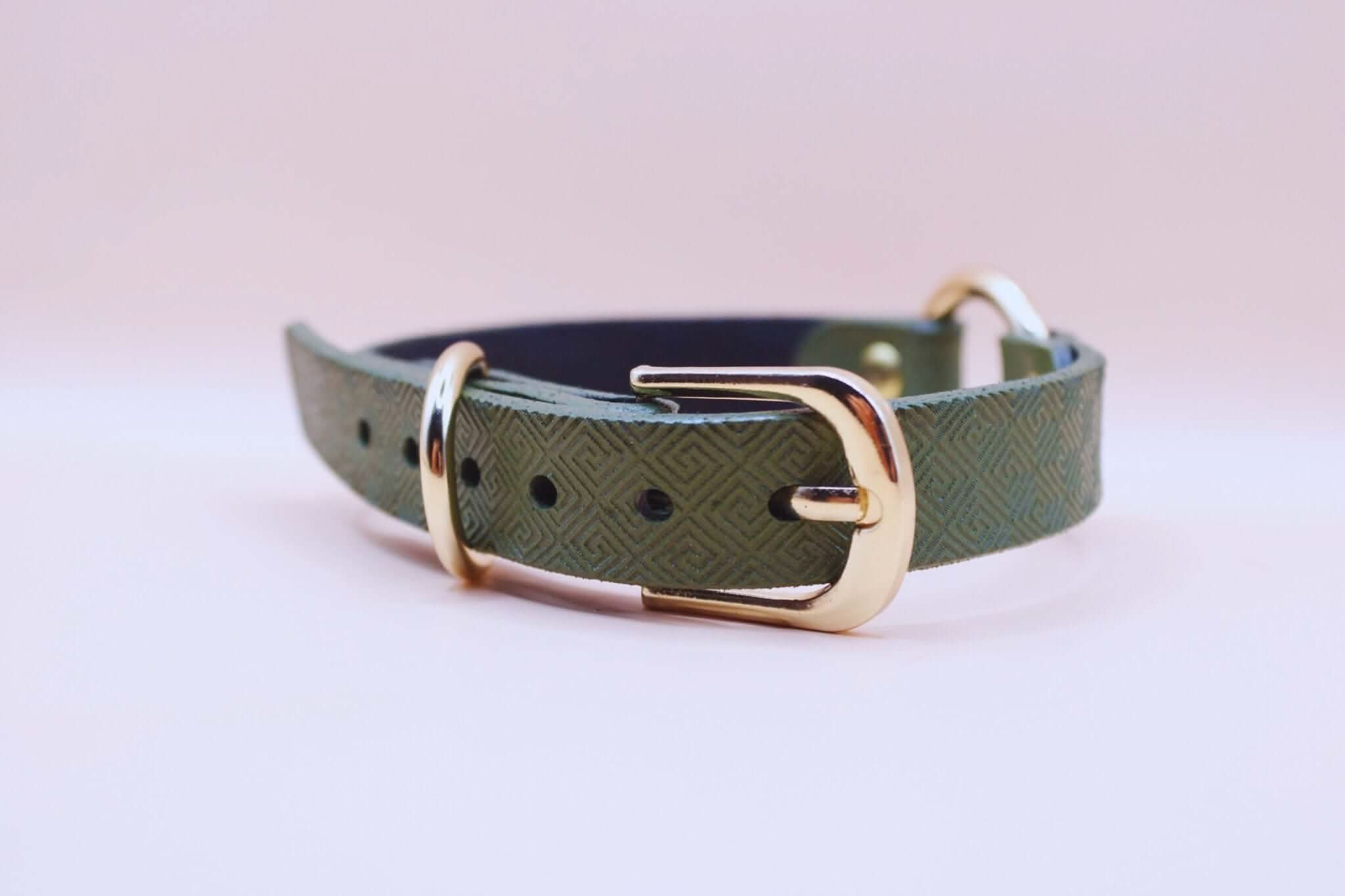 Discreet BDSM day collar in green leather with gold hardware, perfect for submissive jewelry and bondage gear.