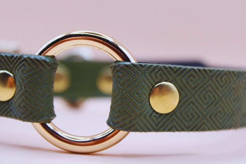 Discreet BDSM day collar in green leather with gold hardware, perfect for submissive jewelry and stylish bondage gear.