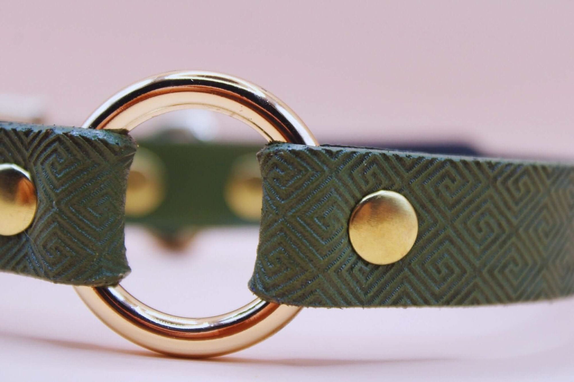 Discreet BDSM day collar in green leather with gold hardware, perfect for submissive jewelry and stylish bondage gear.