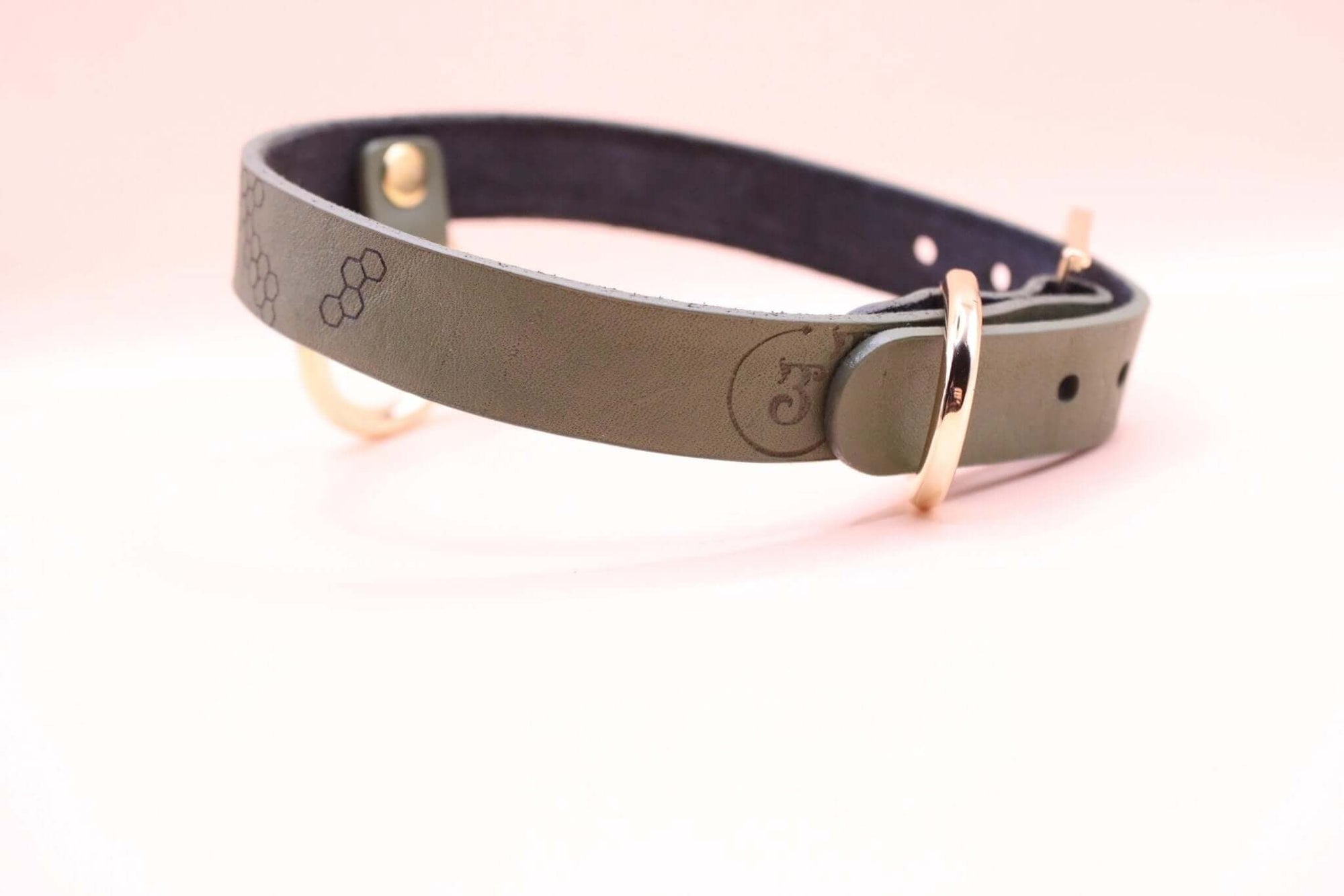 Discreet leather choker collar with gold-toned hardware, perfect for BDSM day wear and submissive jewelry.