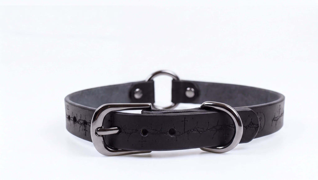 A black leather collar with a metal buckle and two holes on the front.