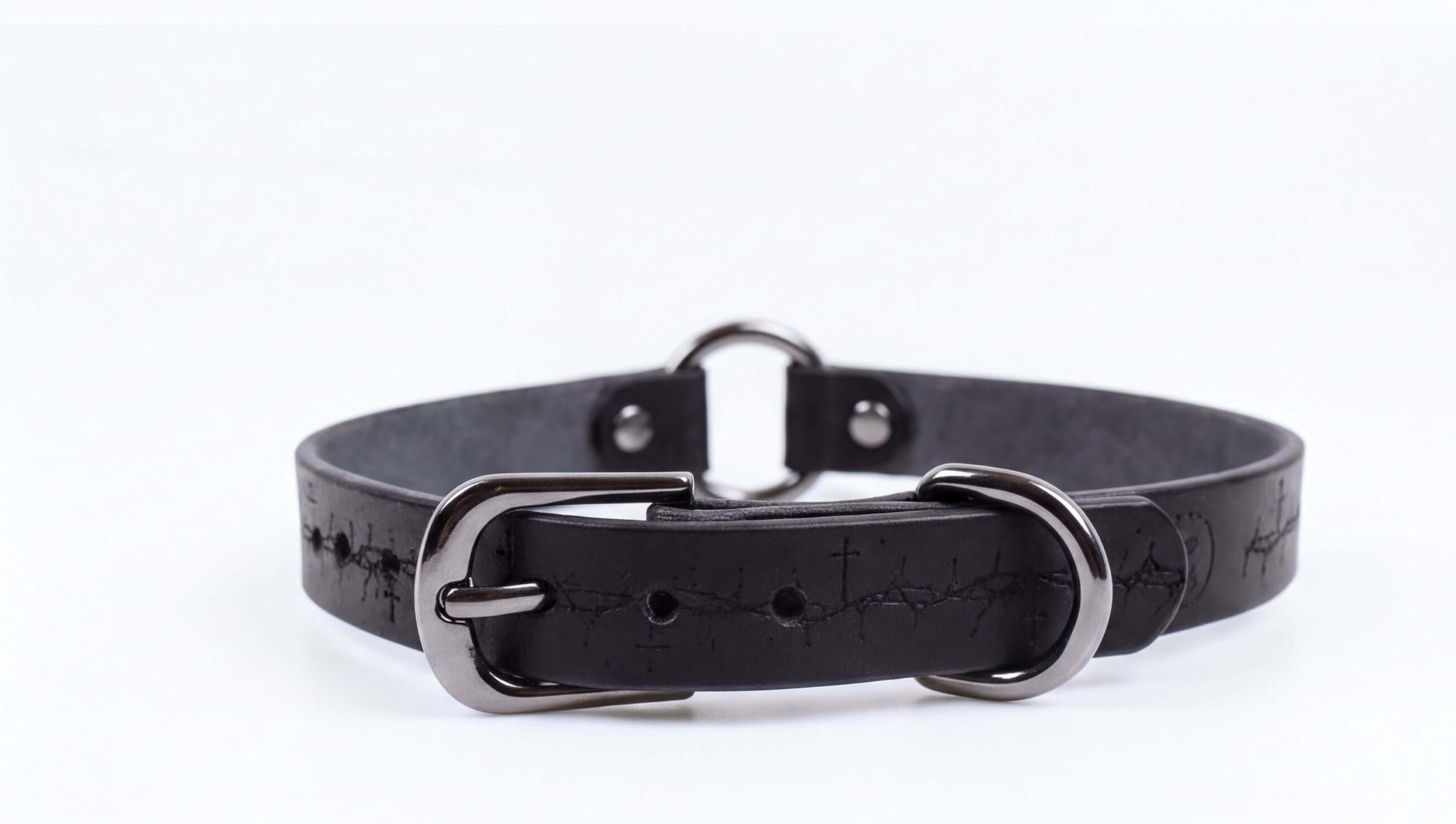 A black leather collar with a metal buckle and two holes on the front.