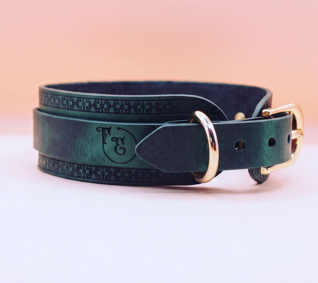 A dark green leather collar with a gold buckle, featuring a decorative pattern on the edge.