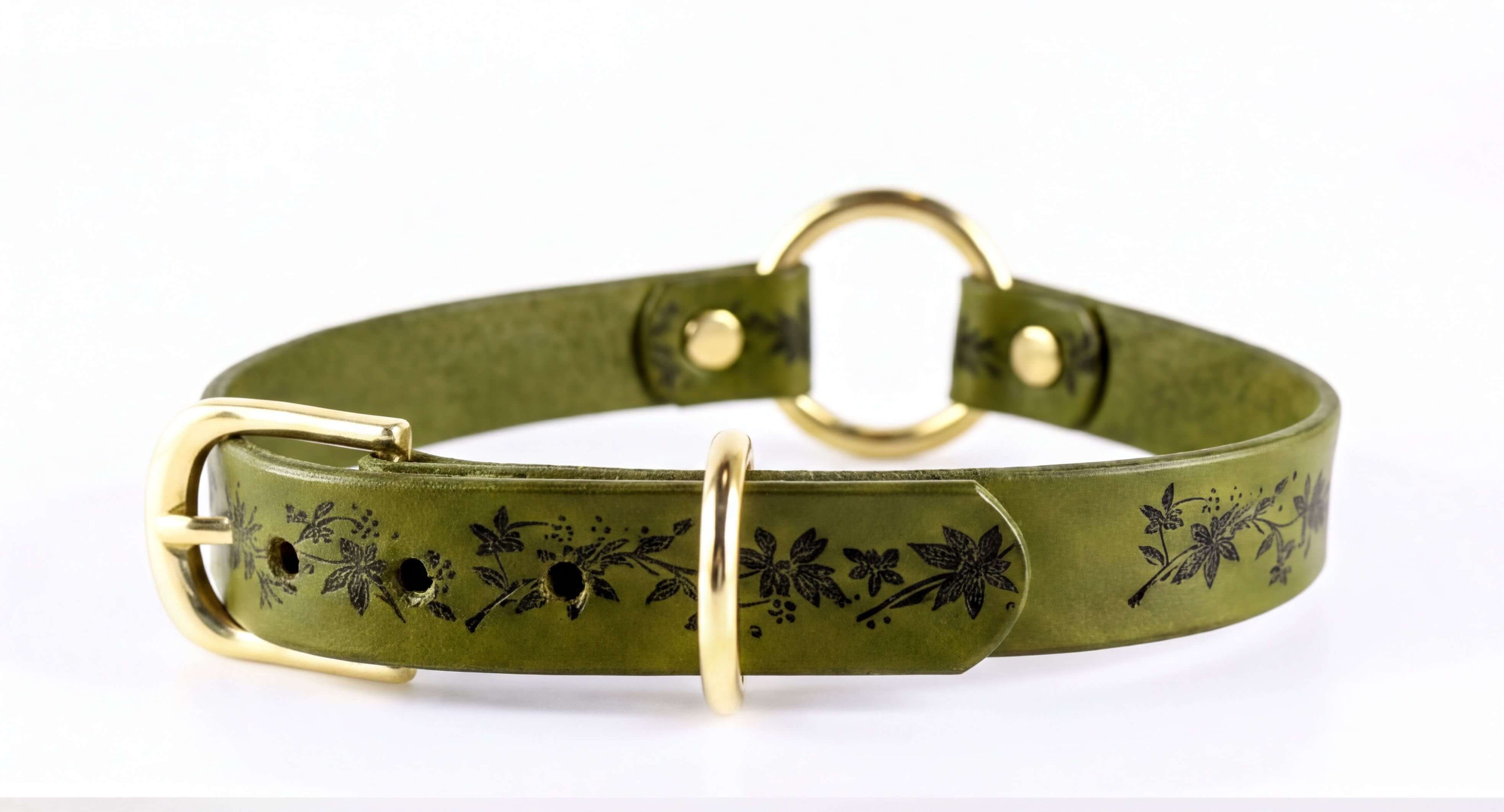 A green leather dog collar with a gold buckle and floral pattern.