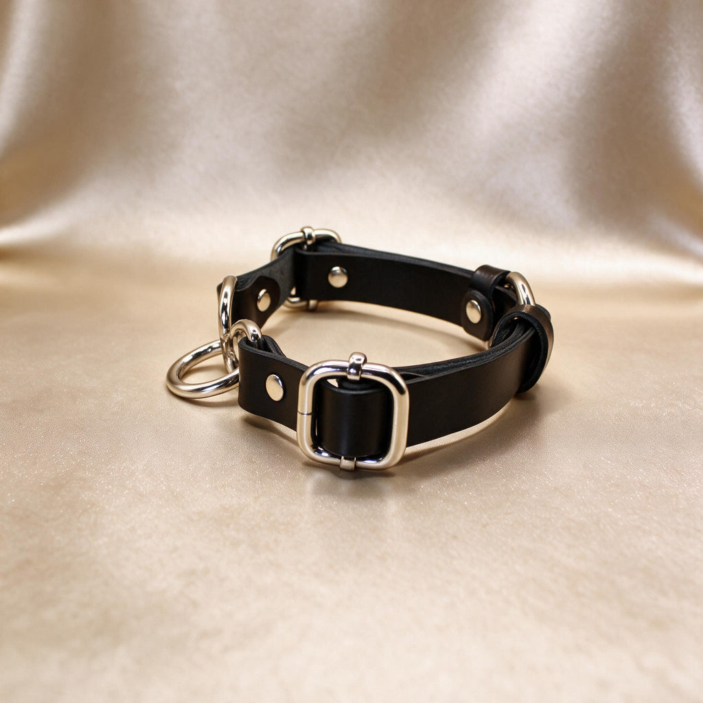 A black leather collar with metal buckles and a metal ring is displayed on a beige background.