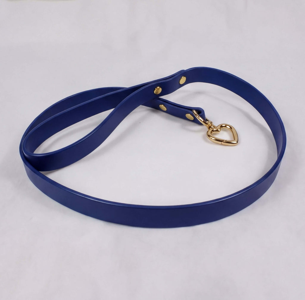 A blue leash with a gold heart-shaped charm attached to it.