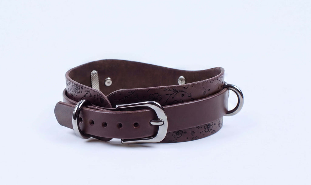 A brown leather dog collar with a metal buckle and a decorative pattern on the leather.