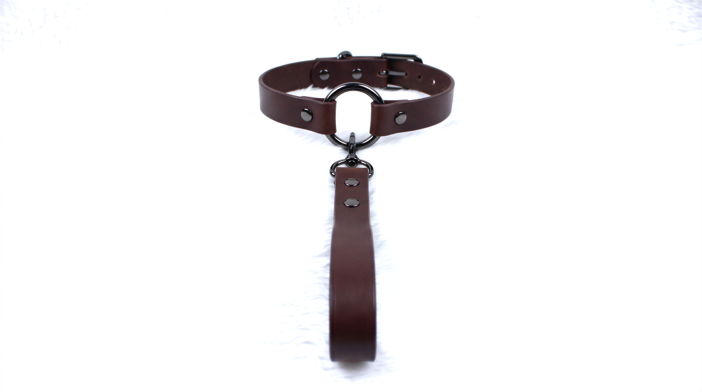 A brown leather collar with a metal buckle and a leather leash attached to it.