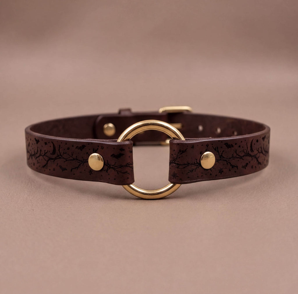 A brown leather choker collar with a gold-colored circular buckle.