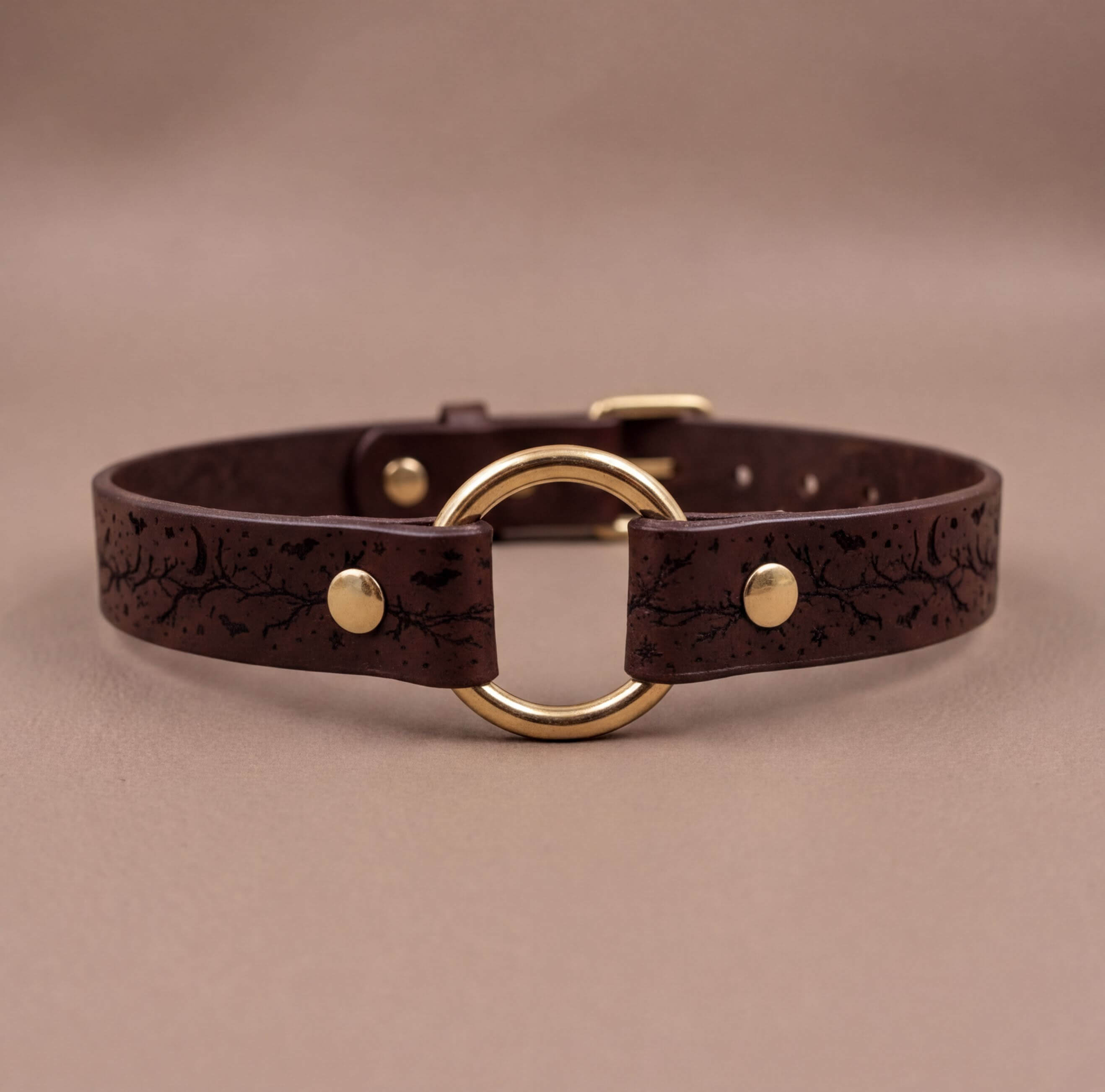 A brown leather choker collar with a gold-colored circular buckle.