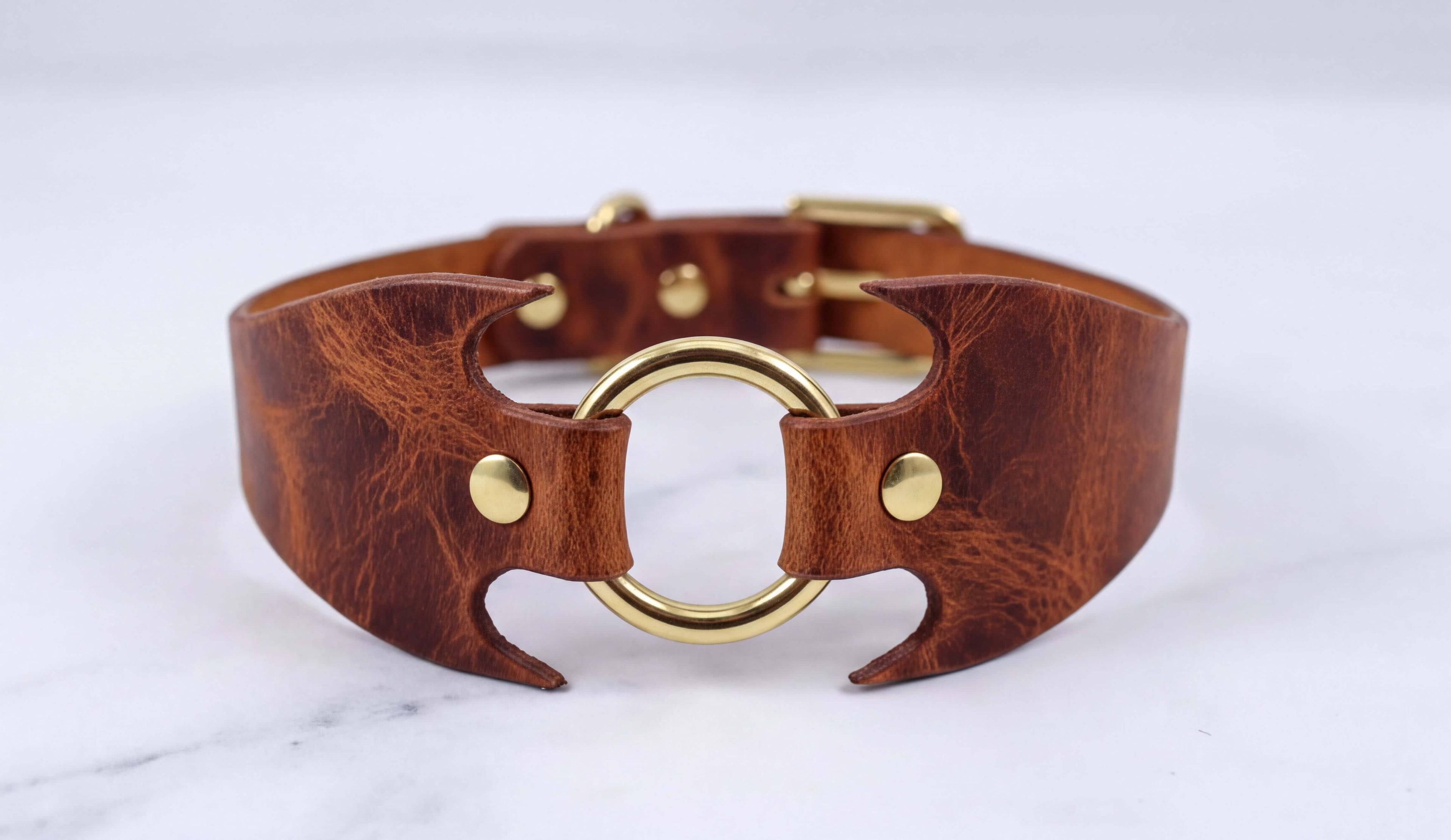 A brown leather choker necklace with a gold-colored metal ring and buckle.