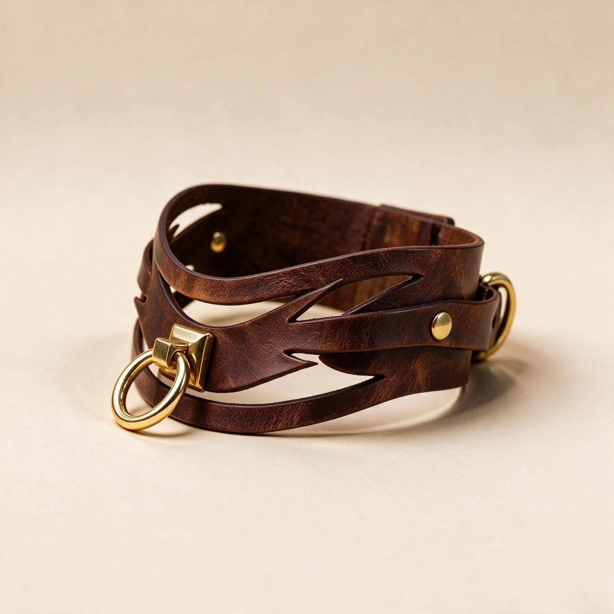 A brown leather choker necklace with a gold-colored metal clasp and two round rings.
