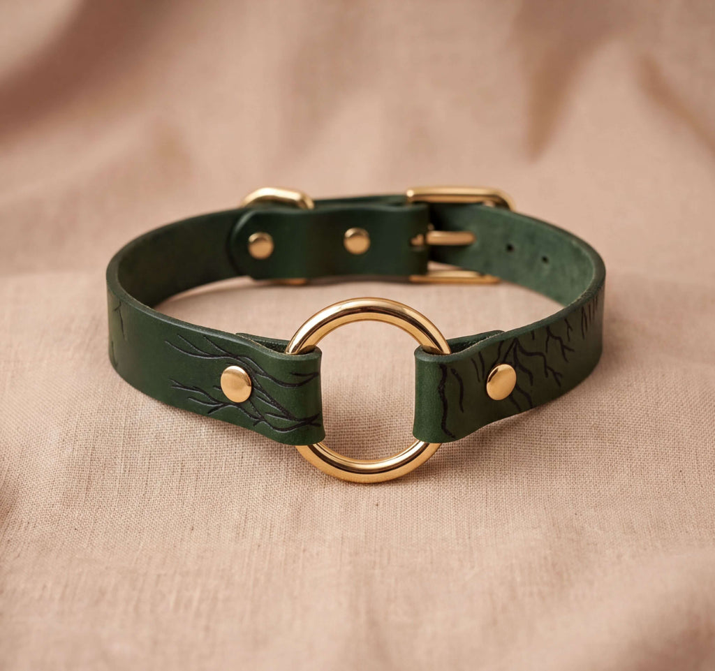 A green leather choker collar with a gold ring and buckle.