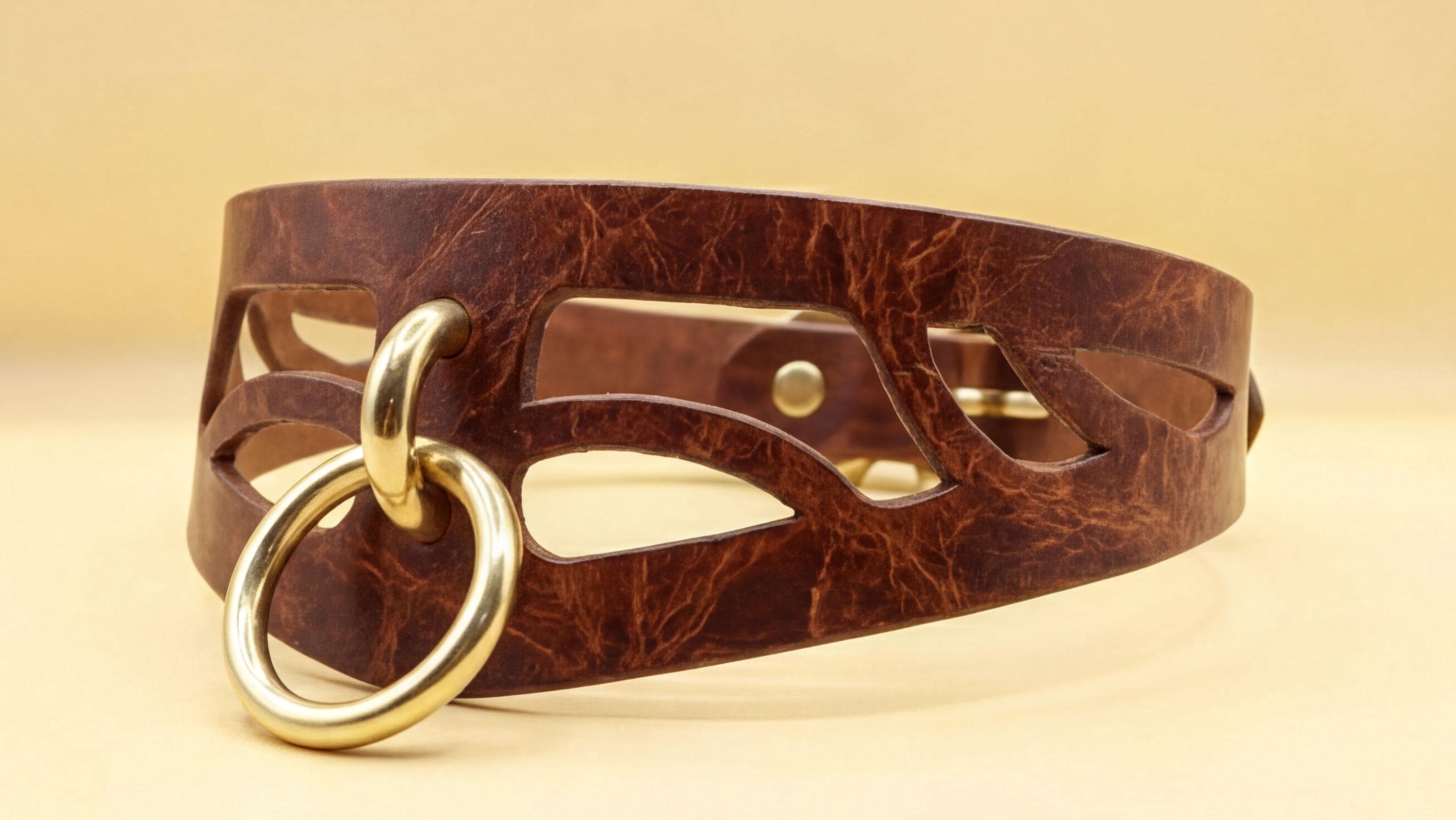 A brown leather choker necklace with a gold-colored metal ring and a cutout design.
