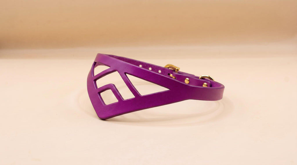 A purple leather collar with a geometric cutout design.