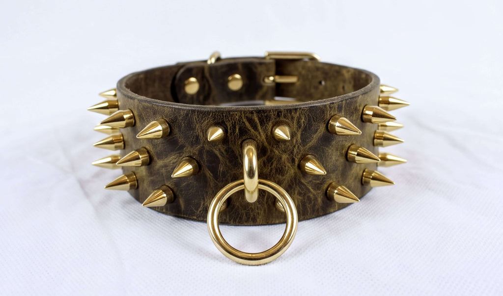 A close-up image of a leather choker necklace with spikes protruding from it, featuring a gold ring and buckle.