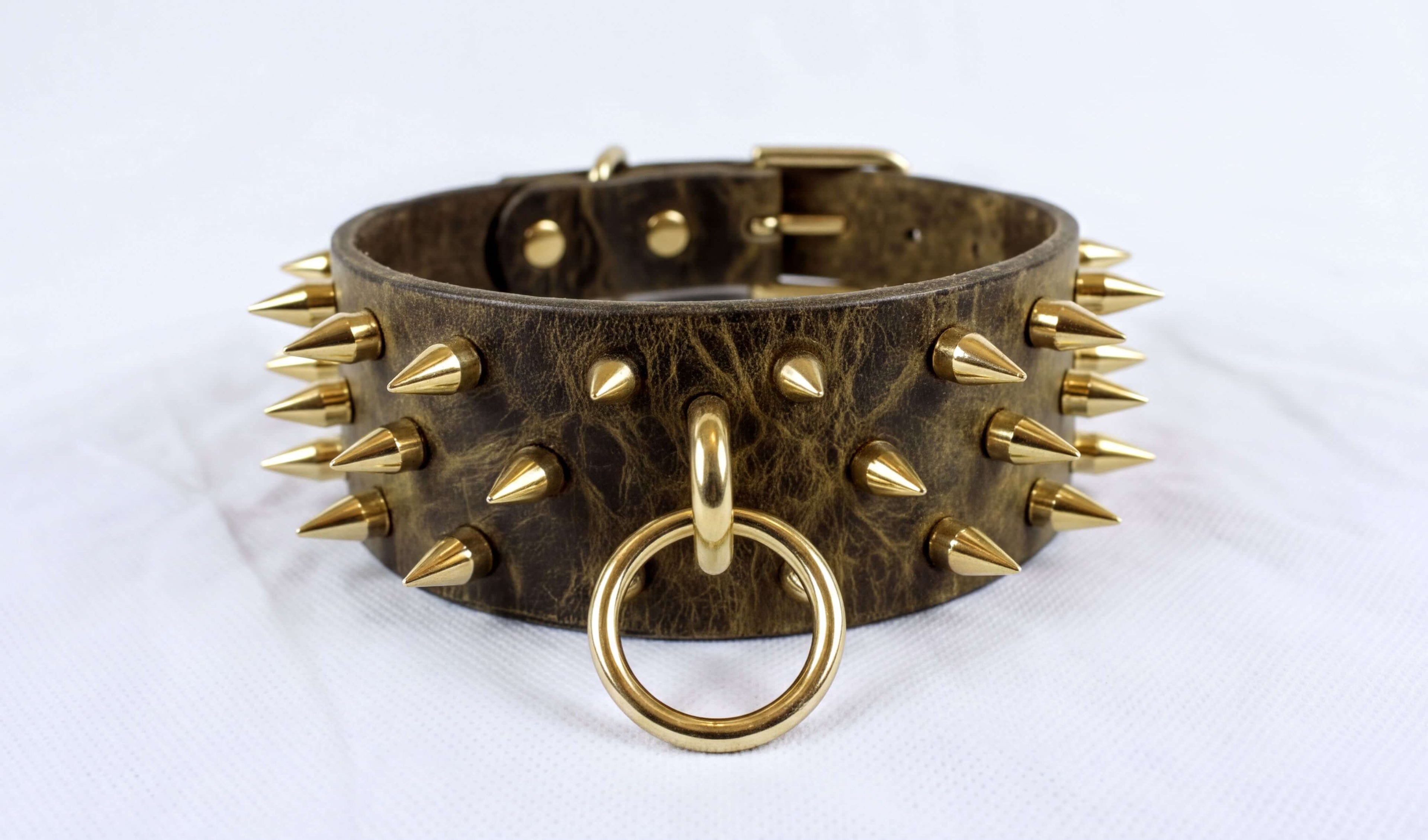 A close-up image of a leather choker necklace with spikes protruding from it, featuring a gold ring and buckle.