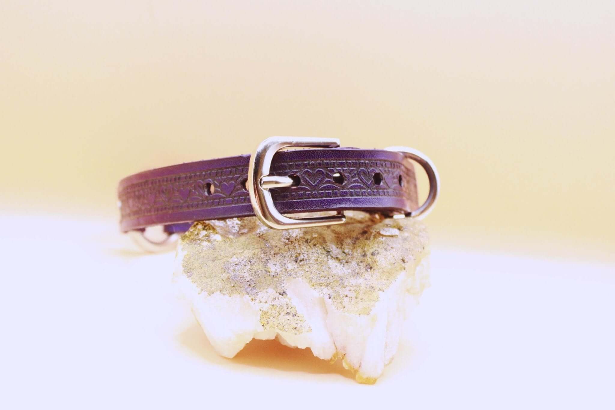 Elegant leather submissive collar with buckle, perfect for discreet day wear and BDSM style.