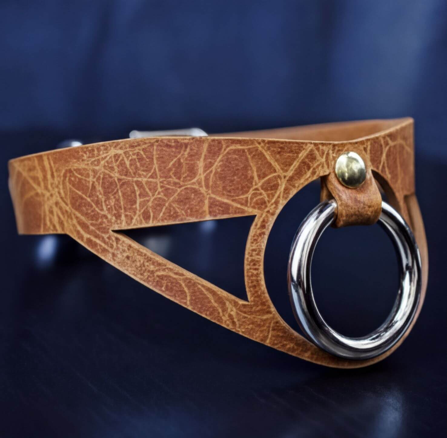 A brown leather choker necklace with a metal ring and a cutout in the middle.
