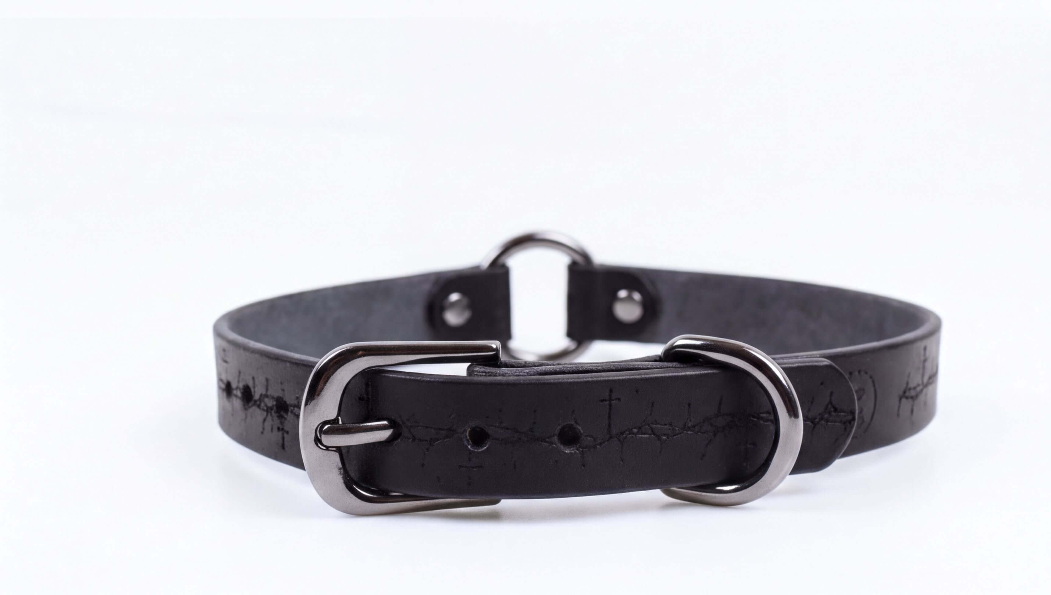 A black leather collar with a metal buckle and two holes on the front.