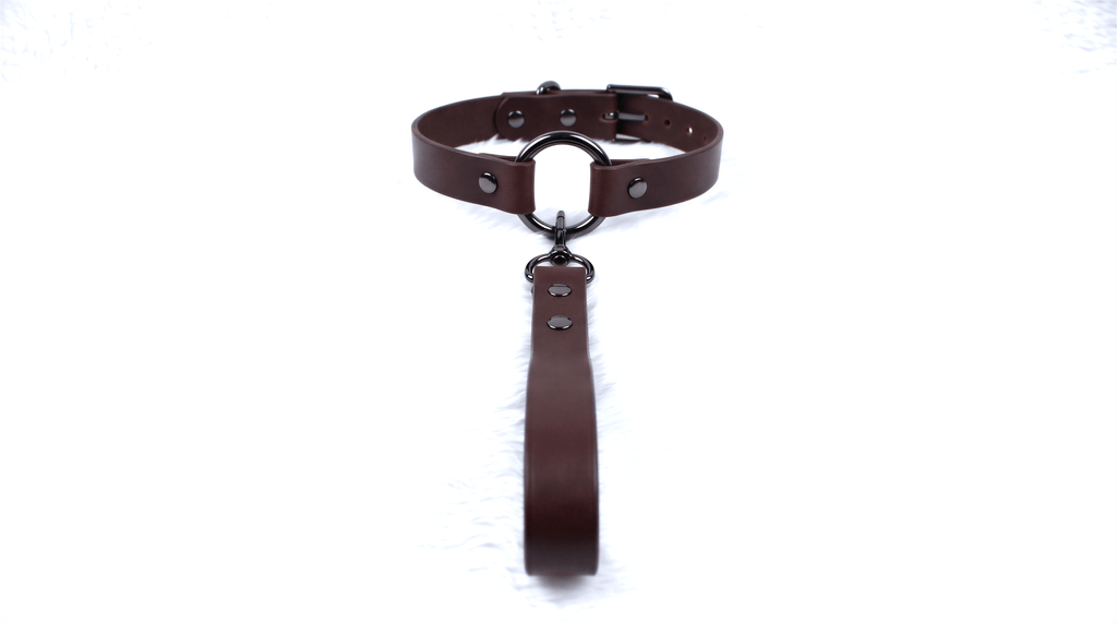 A brown leather collar with a metal buckle and a leather leash attached to it.