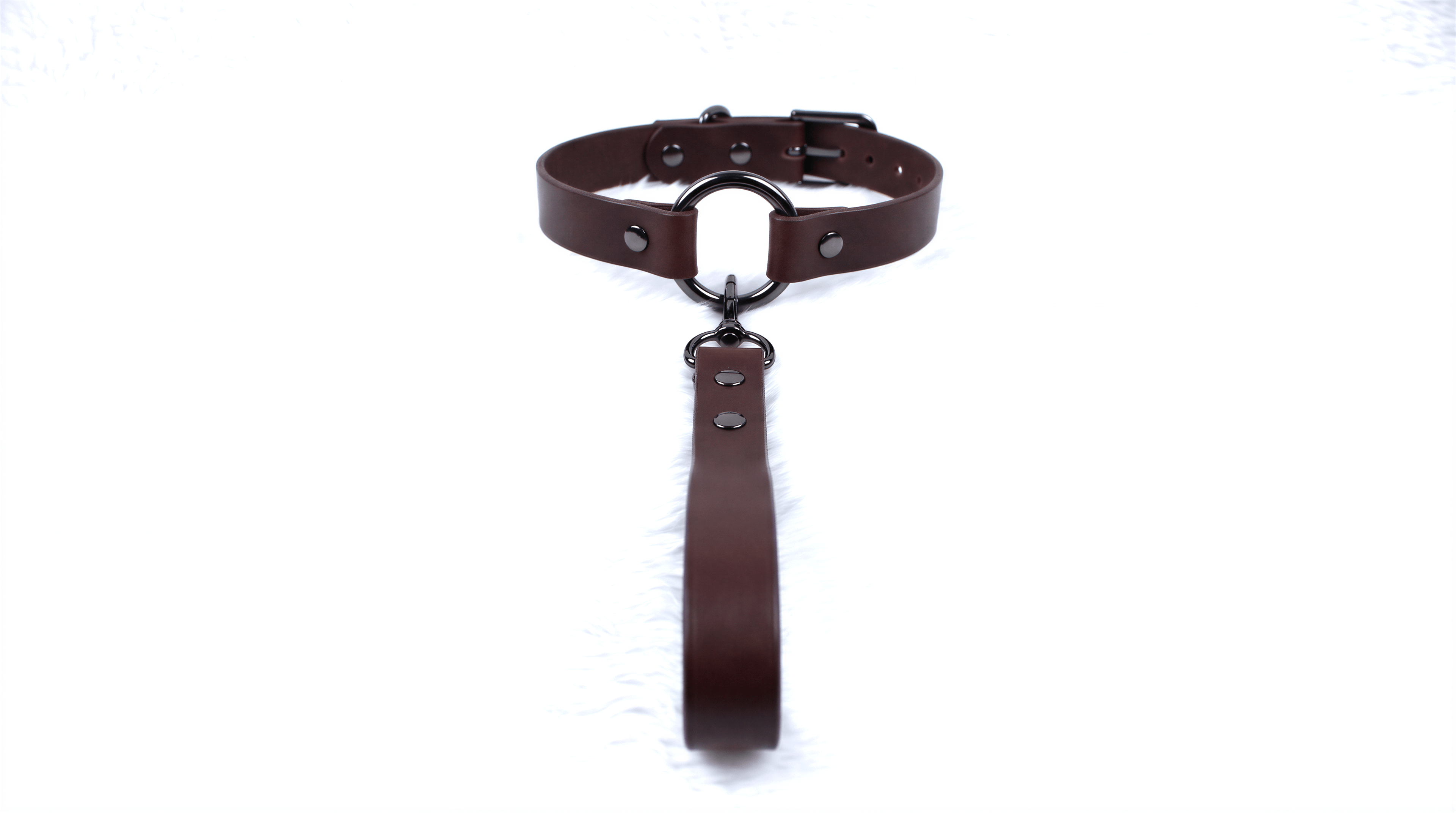 A brown leather collar with a metal buckle and a leather leash attached to it.
