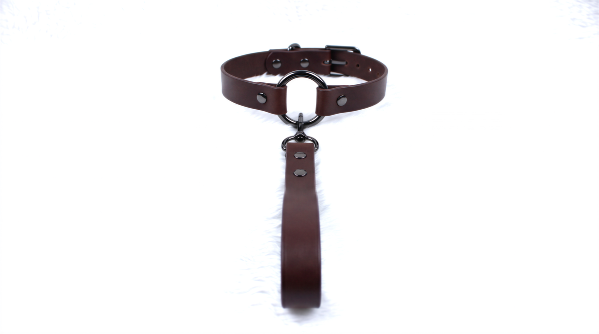 A brown leather collar with a metal buckle and a leather leash attached to it.