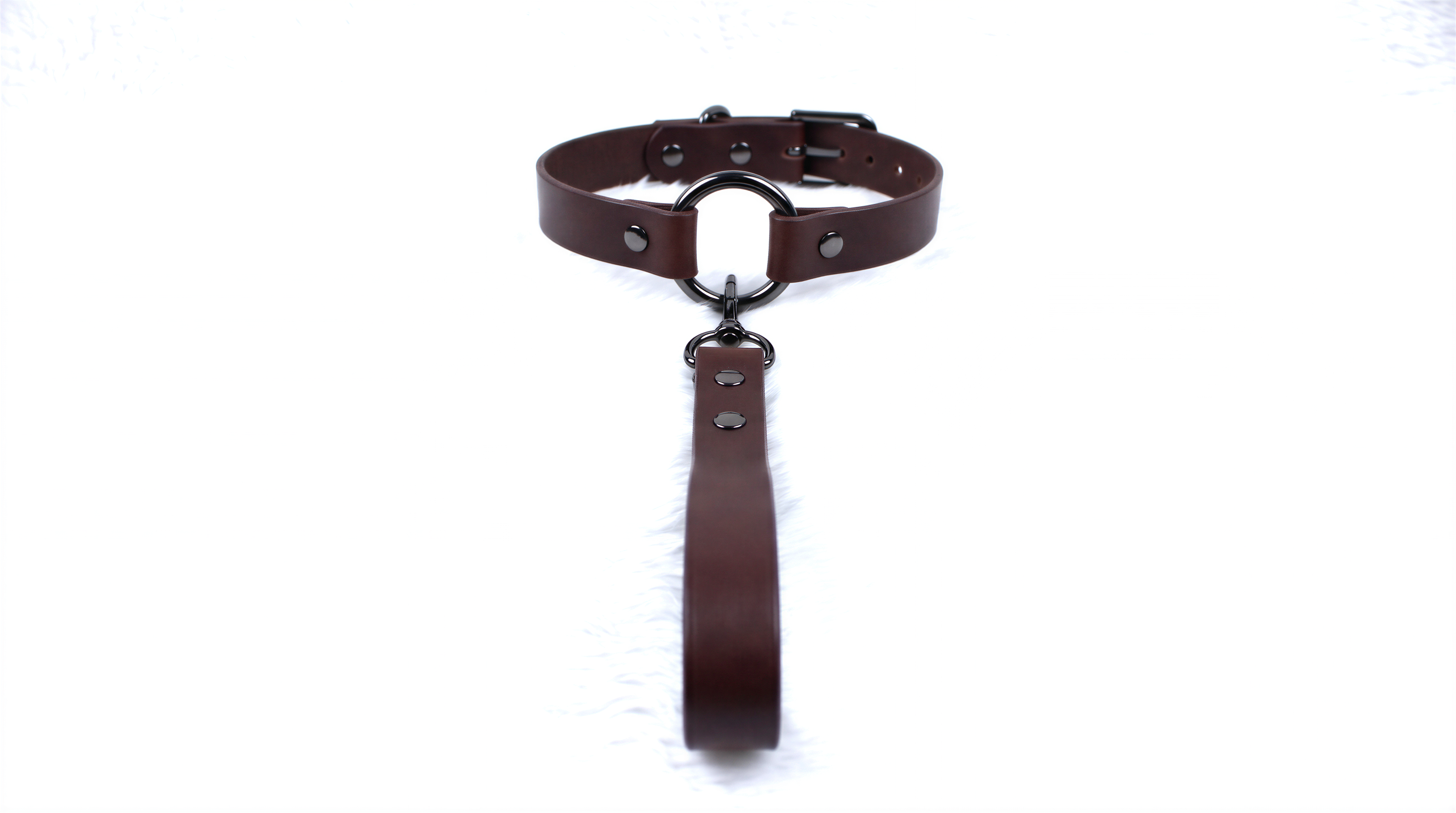 A brown leather collar with a metal buckle and a leather leash attached to it.