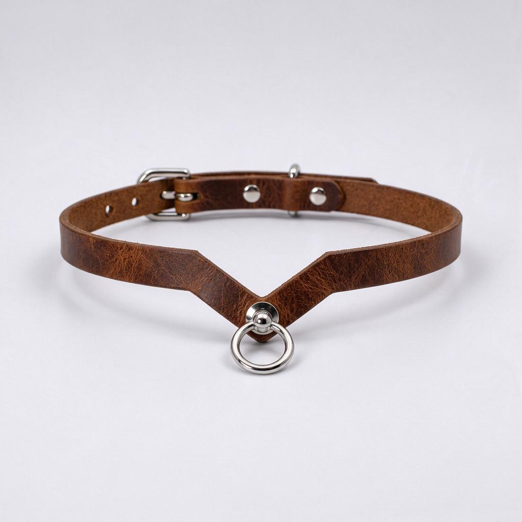 A brown leather choker necklace with a metal ring and buckle.