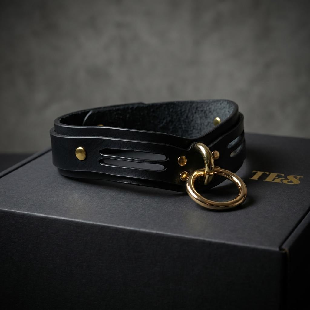 A black leather choker necklace with a gold-colored metal ring and a gold-colored metal buckle is displayed on a black box with the word "TES" printed on it.
