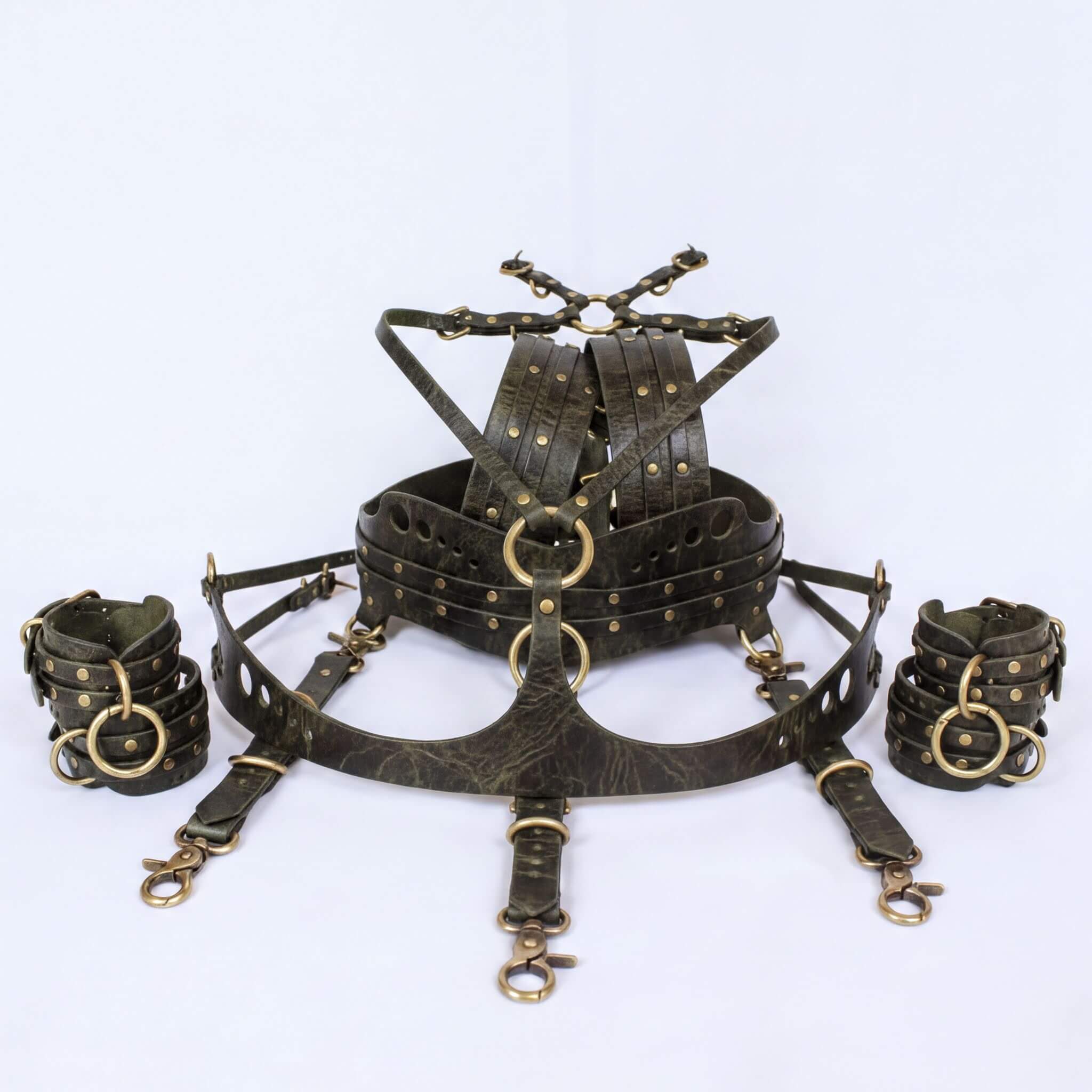 A leather harness with multiple straps and buckles, likely used for BDSM or role-playing purposes.